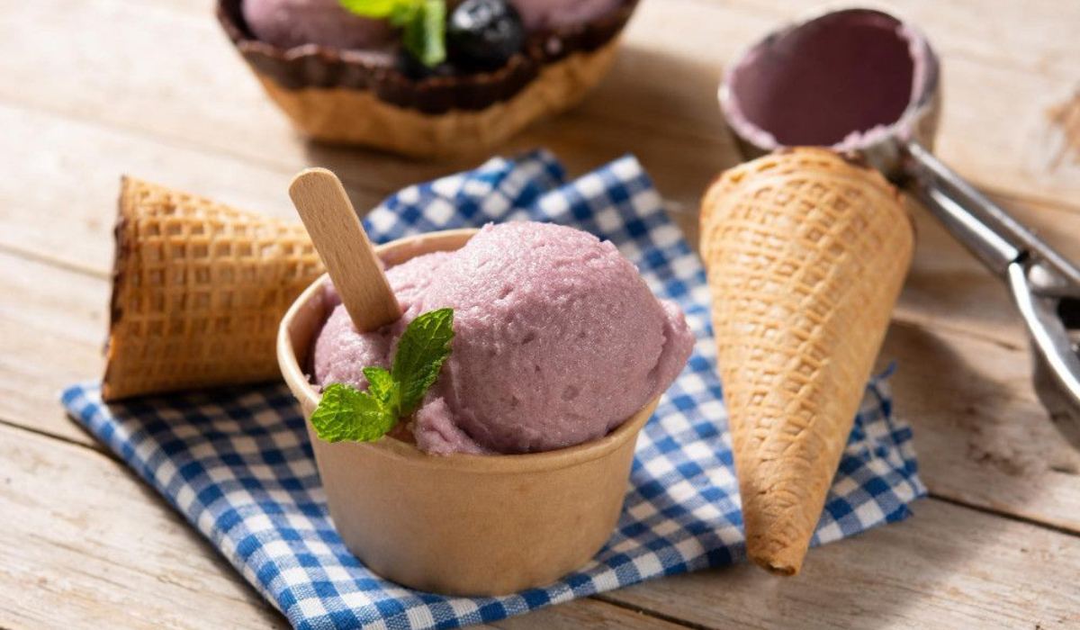 Savor the Scoop with These 5 Sugar-Free Ice Creams!