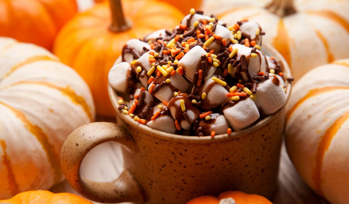 Navigating Sugar Cravings During the Cozy Fall Months